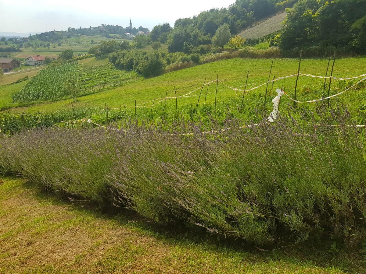 Apartman Potocki Krapina Zewnętrze zdjęcie